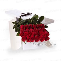 25 роз в подарочной коробке